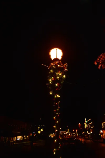 DSC_5875 (Large).JPG